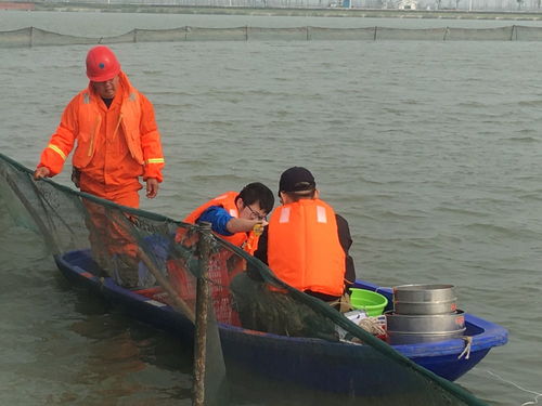 世界水日 三代科学家书写绿色答卷，为上海非常规水源利用提供科技支撑