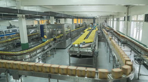 盐渍液重生记 眉山科技创新如何实现污泥变燃料与非常规水源循环利用