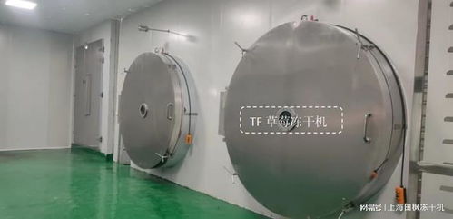 草莓冻干机干燥保鲜技术及非常规水源利用技术研发