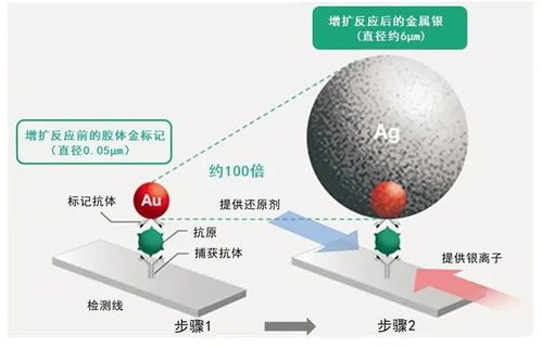 富士胶片开发高灵敏新冠检测试剂盒 银扩增技术的技术创新与水源领域的交叉应用