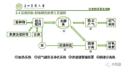 孙勇 豆腐制品加工过程废弃物资源化利用技术与非常规水源利用技术研发